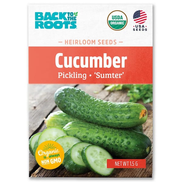 Organic Sumter Cucumber Seed