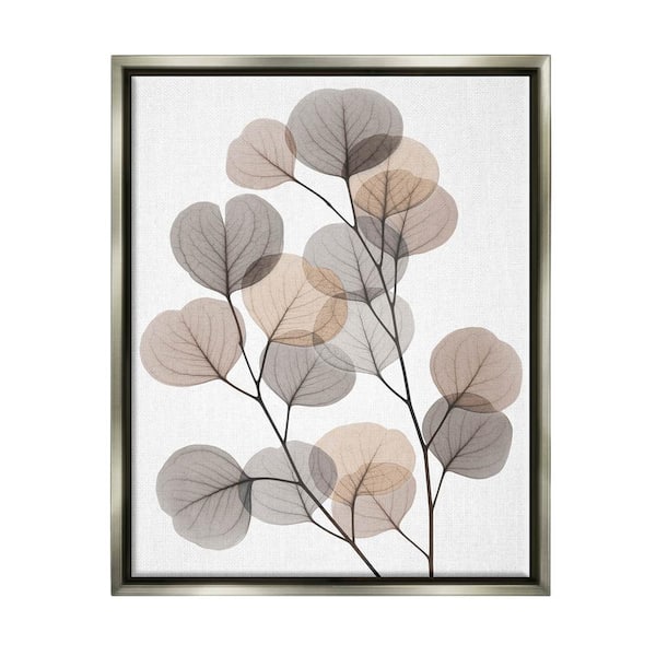 The Stupell Home Decor Collection Modern Eucalyptus Leaf Stems Translucent Leaves by Albert Koetsier Floater Frame Nature Wall Art Print 21 in. x 17 in.