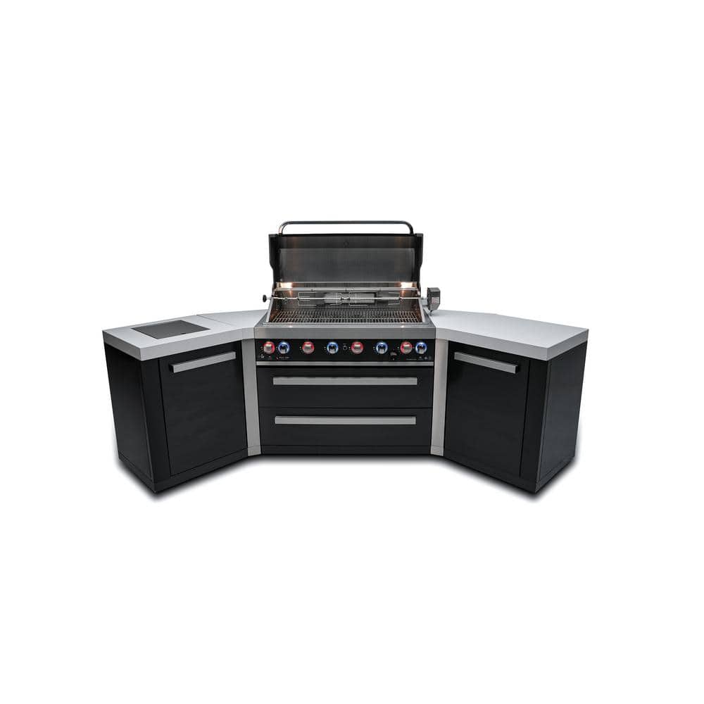 Black Series 6-Burner Outdoor Kitchen Propane Natural Gas with Side Burner BBQ Grill Island in Black Stainless Steel price history on PriceWatchPro
