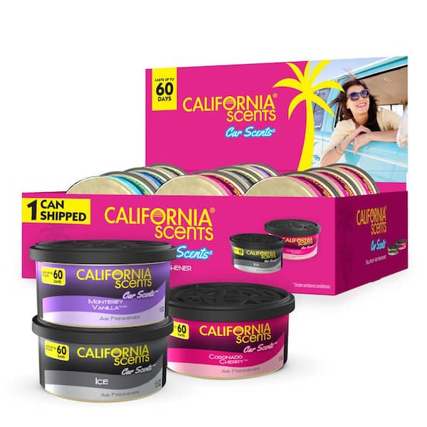 California Scents Car Scents 1.5 oz. Hidden Can Air Freshener, Fragrance Assortment (1-Pack)