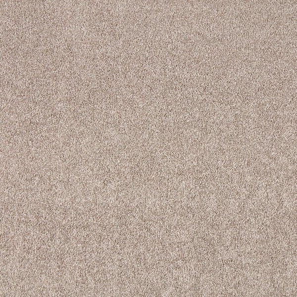 Lifeproof with Petproof Technology Silver Mane I - Rustic - Brown 50 oz. Triexta Texture Installed Carpet