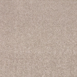 Silver Mane II  - Rustic - Brown 65 oz. Triexta Texture Installed Carpet