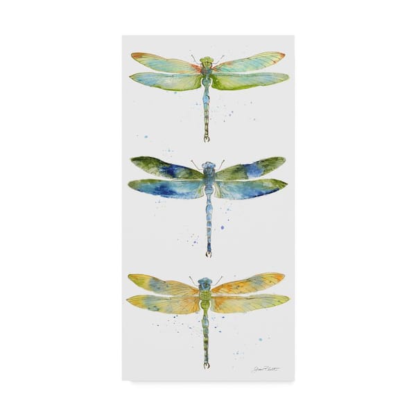 Trademark Fine Art Dragonfly Bliss 10 by Jean Plout Floater Frame Animal Wall Art 19 in. x 10 in.