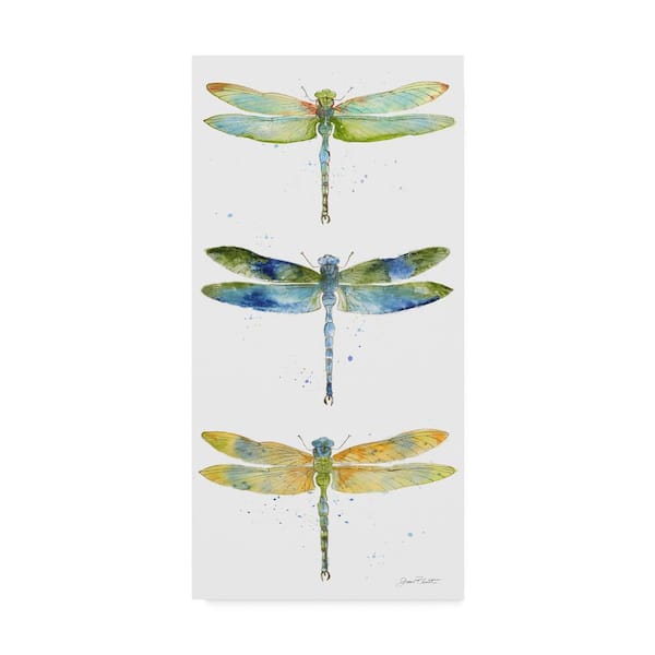 Trademark Fine Art Dragonfly Bliss 10 by Jean Plout Animal Art Print 32 in. x 16 in.