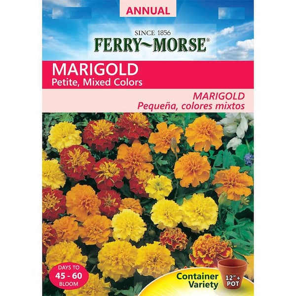 Ferry-Morse Marigold Petite Mixed Colors Seed