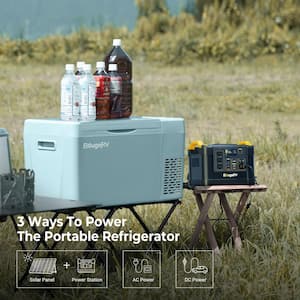 Green 23 qt. Portable Refrigerator, 12-Volt Fridge 22L, Portable Freezer Compressor Cooler