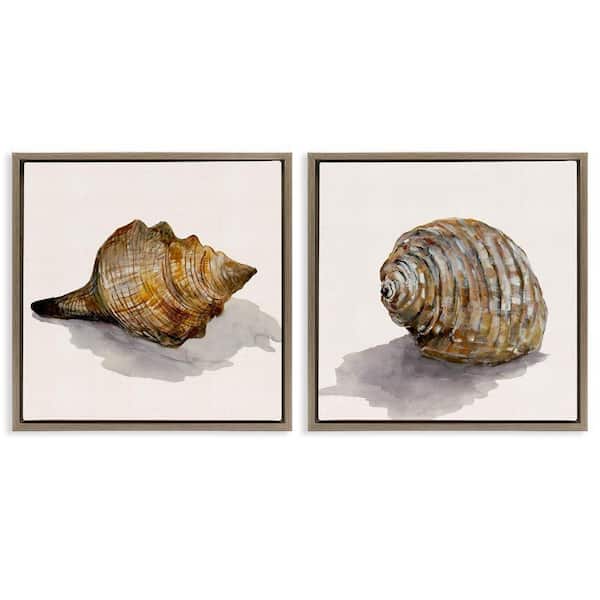 Neutral Beach Shells by Jacob Q 2-Pieces Brown Floater Frame Coastal Graphic Art Print 18 in. x 18 in.