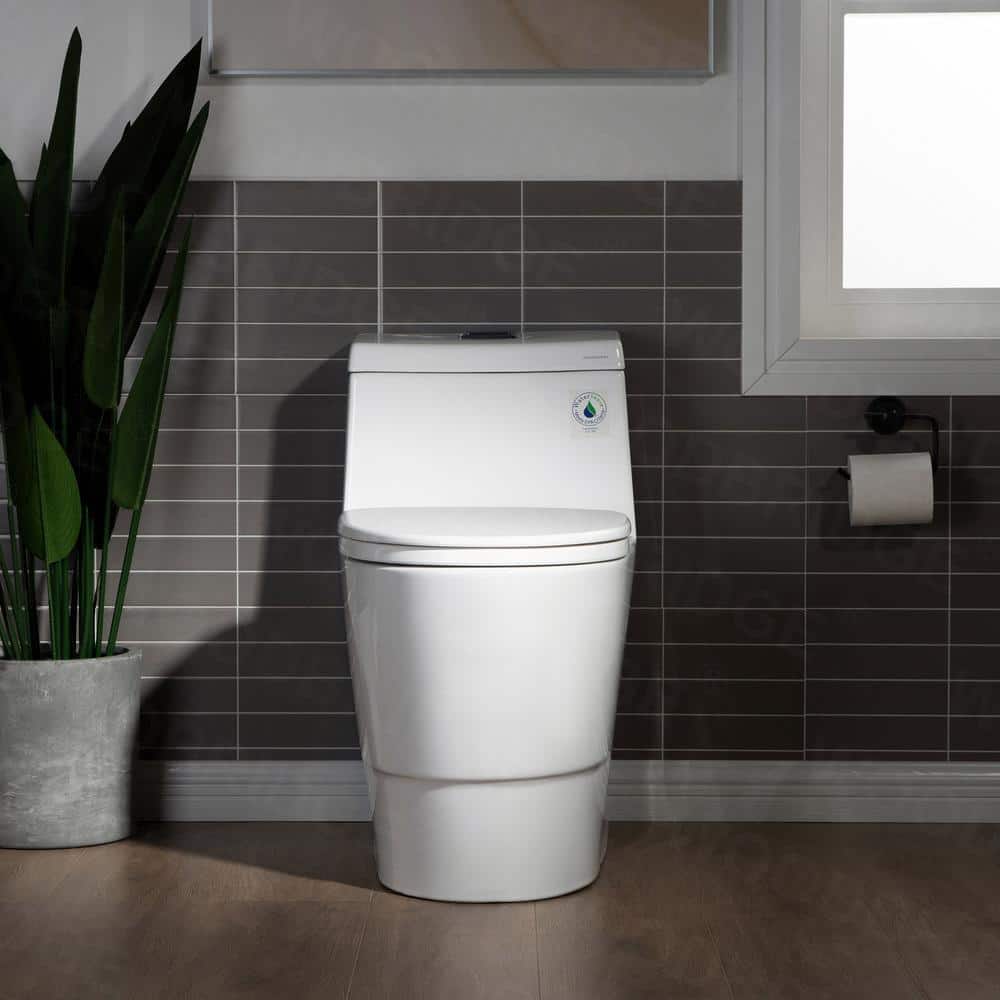 White Elongated One-Piece Dual Flush Toilet with Chrome Button