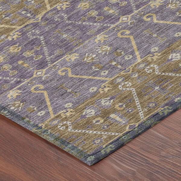 Chantille Machine Washable Indoor/Outdoor Abstract ACN2858 Plum 2 ft. x 3 ft. Accent Rug