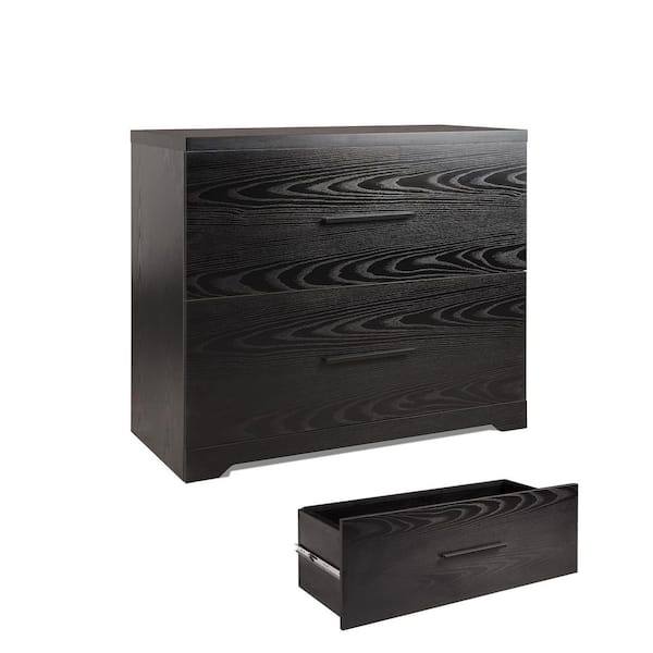 STICKON Black File Cabinet with 2-Drawers