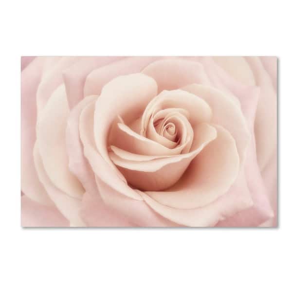 Trademark Fine Art 22 in. x 32 in. "Peach Pink Rose" by Cora Niele Printed Canvas Wall Art