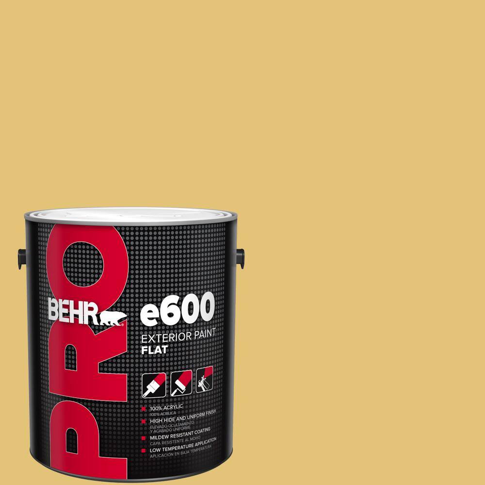1 gal. #370D-5 Summer Field Flat Exterior Paint price history on PriceWatchPro