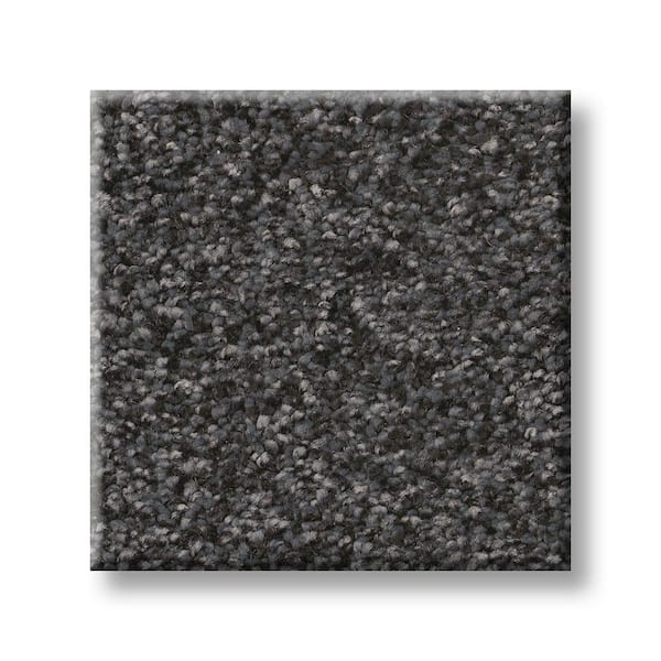Lifeproof 8 in. x 8 in. Texture Carpet Sample - Rosemary I -Color Ballad