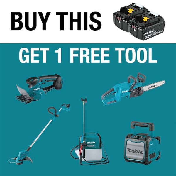 18V LXT Lithium-Ion High Capacity Battery Pack 5.0 Ah with LED Charge Level Indicator (2-Pack)