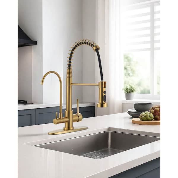 Double Handles Solid Brass Pull Down Sprayer Kitchen Faucet with Drinking Water Filter in Brushed Gold