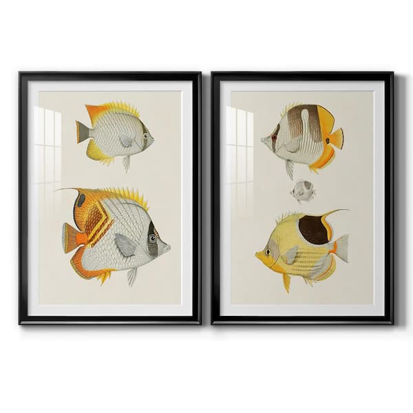 framed fish print