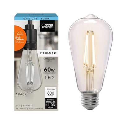 60-Watt Equivalent ST19 Straight Filament Dusk to Dawn Clear Glass E26 Vintage Edison LED Light Bulb, Daylight