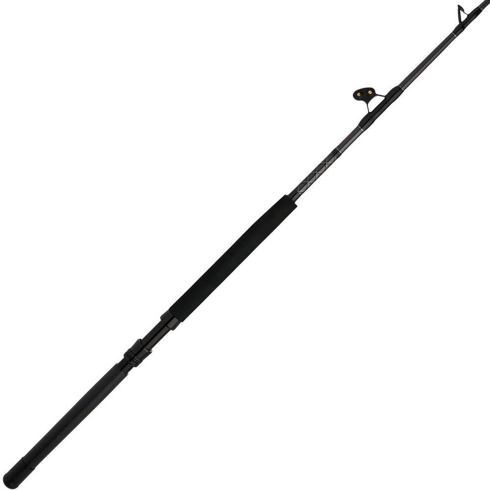Penn Ally II Boat Conventional Casting Fishing 1560450-HD - The