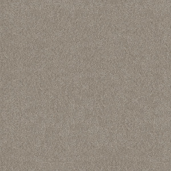 Home Decorators Collection 8 in x 8 in.  Texture Carpet Sample - Columbus II - Color Nutria