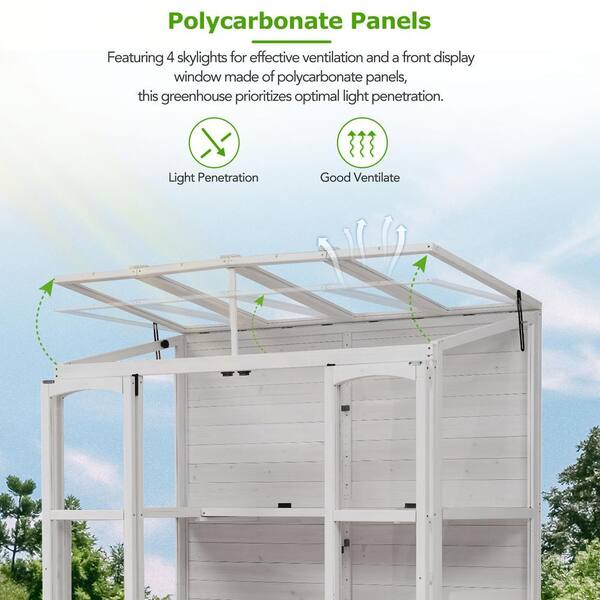 ToolCat 4.8 ft. x 2.4 ft. x 6.5 ft. Wooden Greenhouse Cold Frame