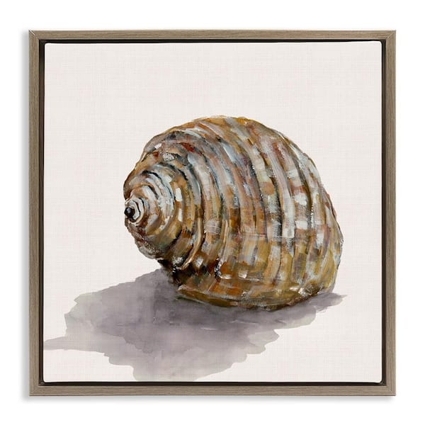 Stupell Industries Curved Seashell on Beige by Jacob Q Brown Floater Frame Coastal Graphic Art Print 18 in. x 18 in.