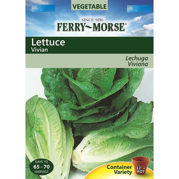 Ferry-Morse Lettuce Vivian Seed