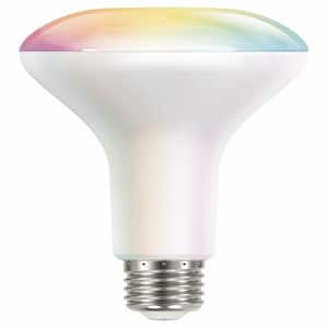 65-Watt Equivalent Smart Hubspace BR30 Color Changing CEC LED Light Bulb with Voice Control (1-Bulb)