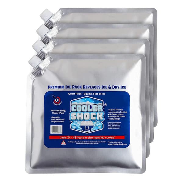 Angel Sar All Purpose Size Reusable Long Lasting Cold Freezer Ice Packs for Camping Gear Fishing Road Trips and Beach (4-Pack)