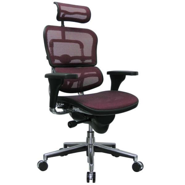 Raynor ergohuman discount mesh office chair