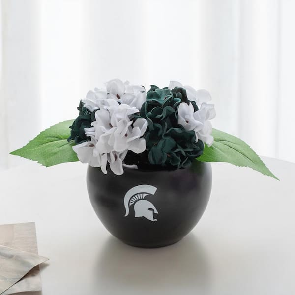 MSU Orchid Plant, MSU Faux Orchid Plant, MSU Gifts for Men, MSU