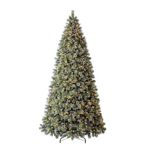 National Tree Company 12 Ft Pre Lit Downswept Douglas Fir Artificial Christmas Tree With Clear Lights Pedd1 312 120 The Home Depot