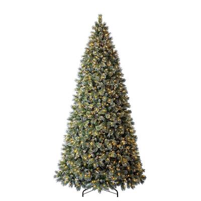 12 ft Sparkling Amelia Pine Pre-Lit Artificial Christmas Tree with 1300 Warm White Micro Fairy Lights