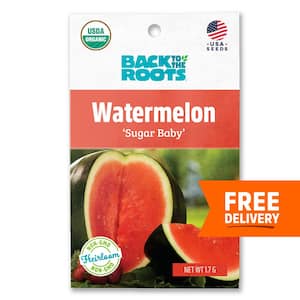 Organic Sugar Baby Watermelon Seed (1-Pack)