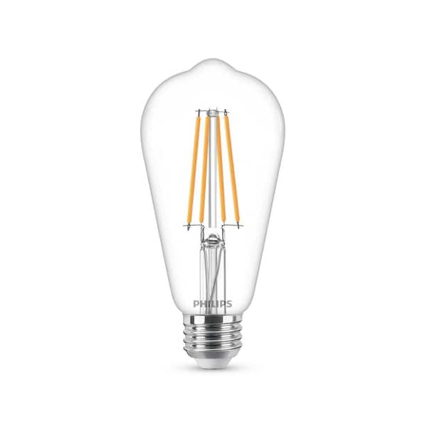 Verplaatsing stimuleren Boos Philips 60-Watt Equivalent ST19 Dimmable Vintage Glass Edison LED Light  Bulb Soft White Warm Glow Effect (2700K) 556530 - The Home Depot