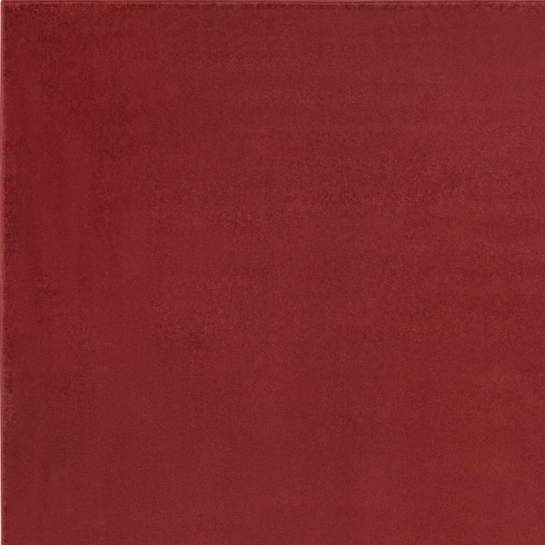 Brick Red 4 ft. x 6 ft. Woven Polypropylene Rectangle Indoor/Outdoor Area Rug