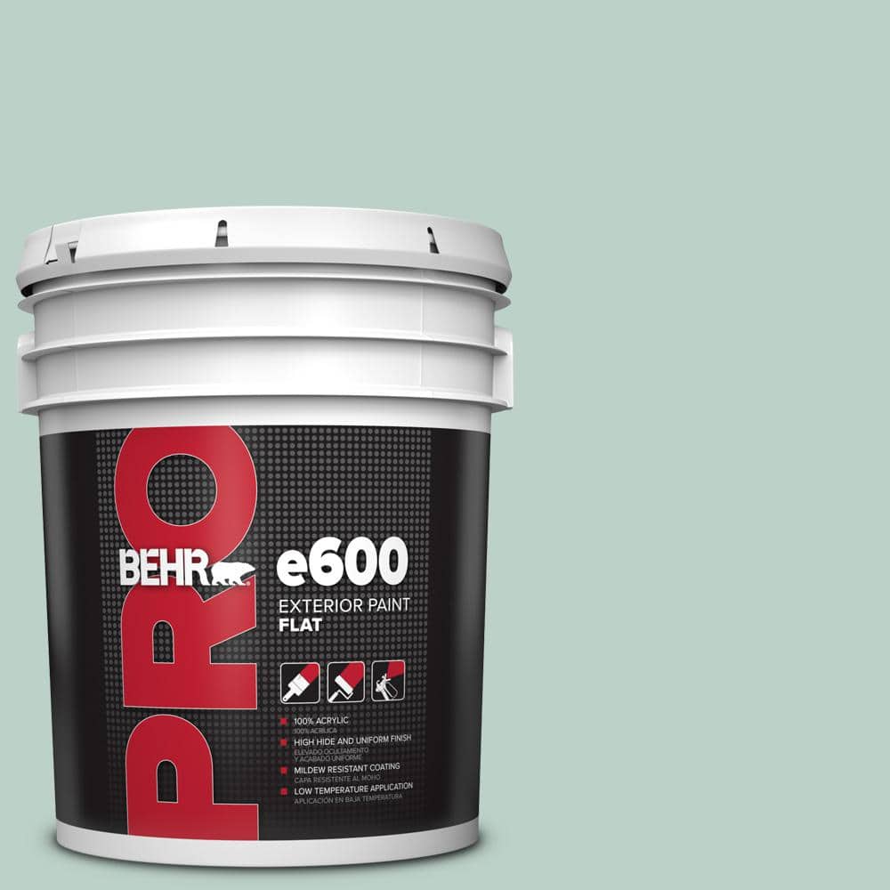 5 gal. #S420-2 Moon Glass Flat Exterior Paint price history on PriceWatchPro