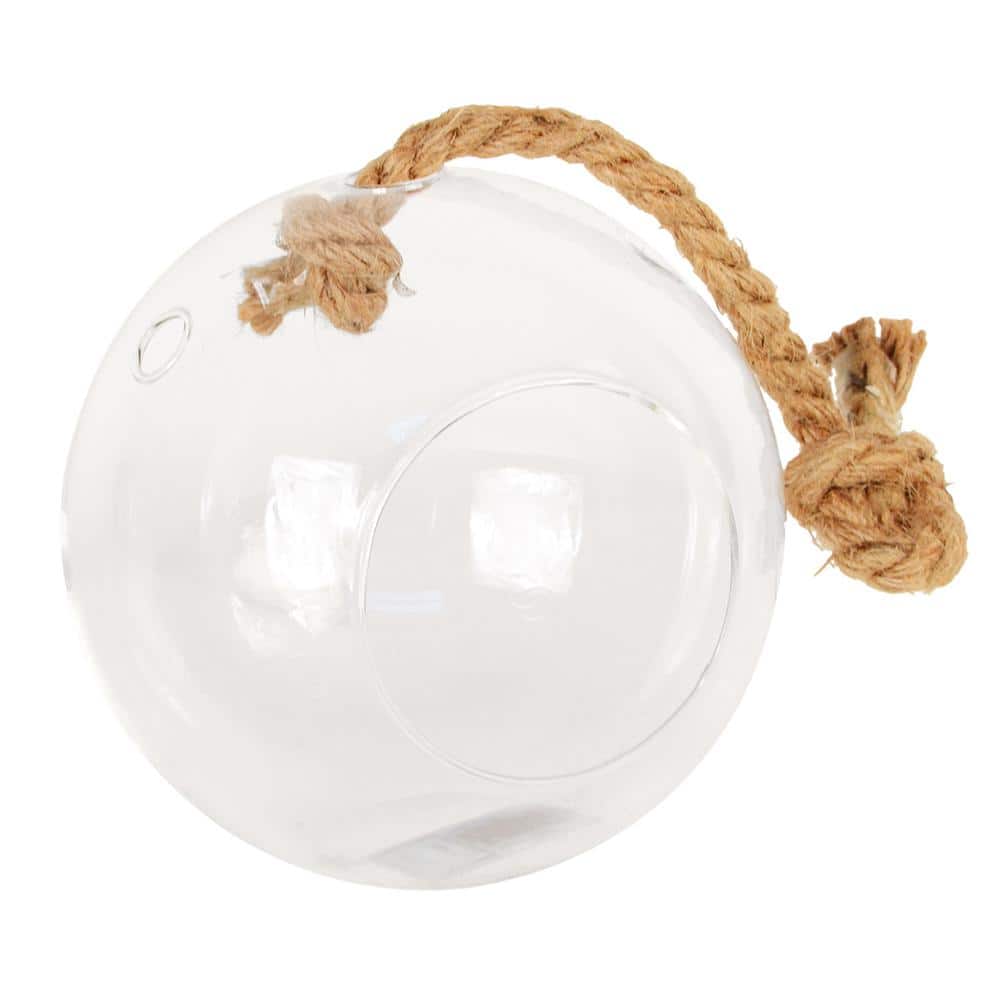 Sphere 5 in. x 5 in. Glass Hanging Terrarium