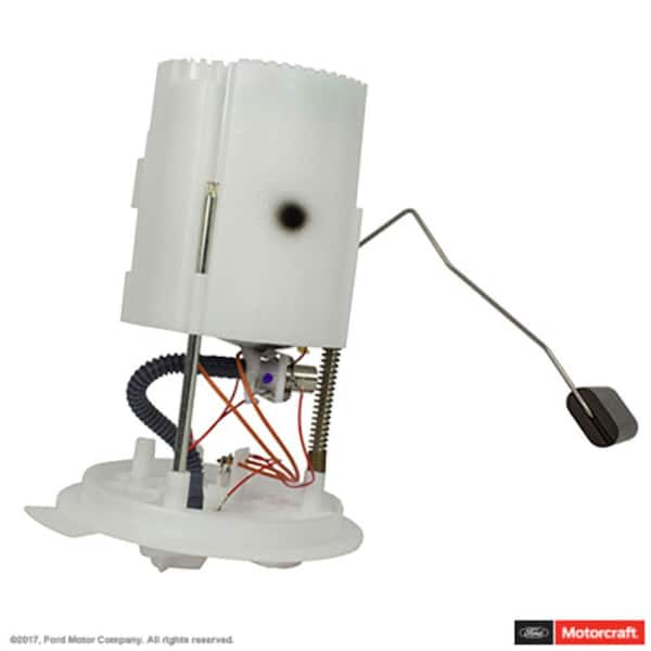 Fuel Pump and Sender Assembly
