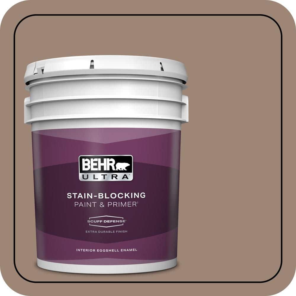5 gal. #PPU5-16 Earthnut Extra Durable Eggshell Enamel Interior Paint & Primer price history on PriceWatchPro
