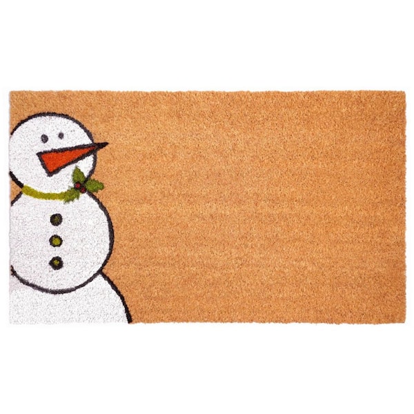 Multi-Colored 48 in. x 30 in. Coir Outdoor Door Mat