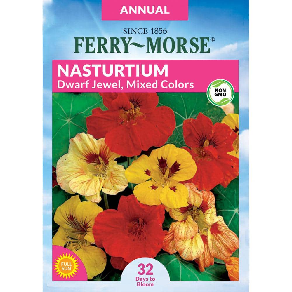 FerryMorse Nasturtium Dwarf Jewel Mixed Colors Flower Seed 6106 The