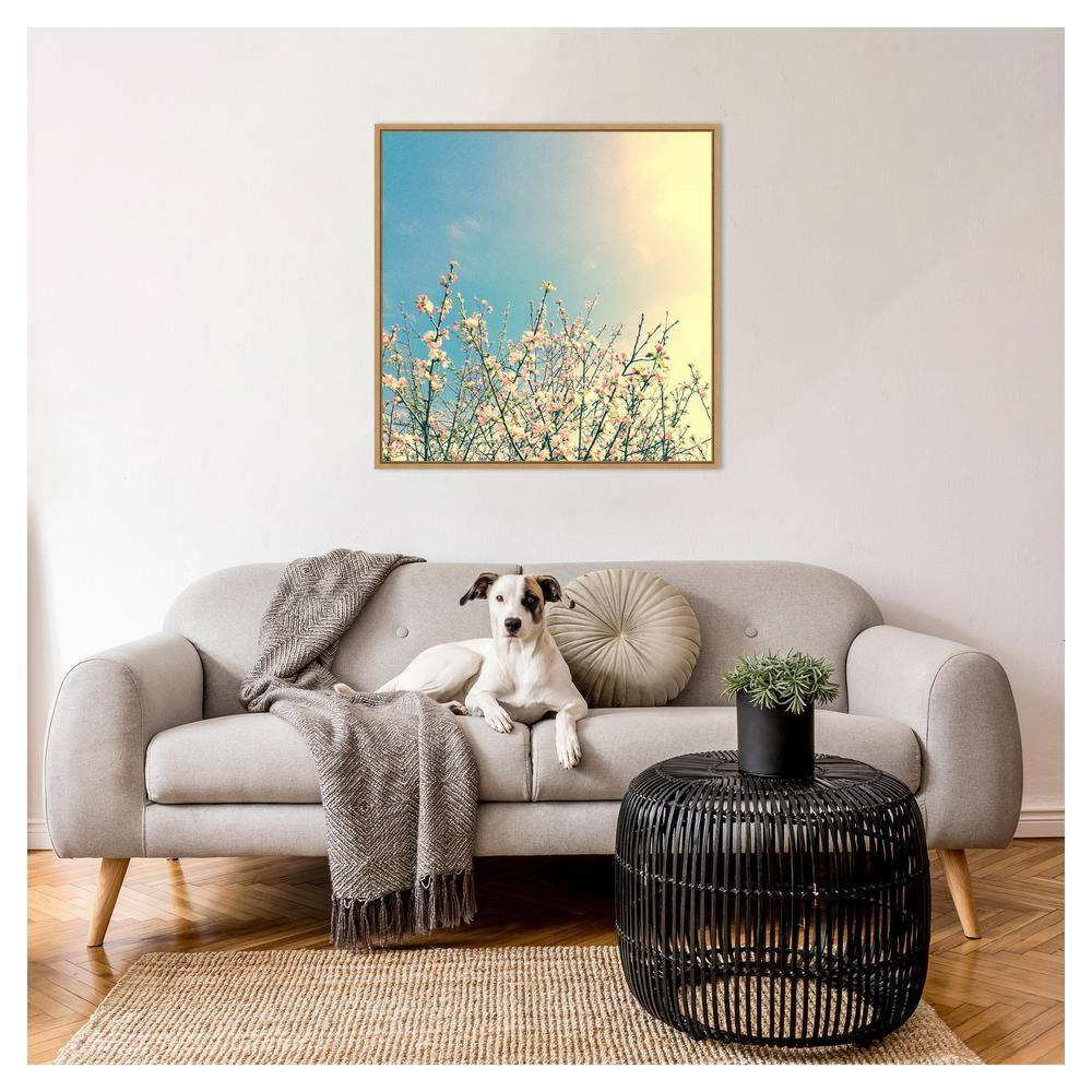 Springing Pink I Contemporary Canvas Print with Maple Floater Frame