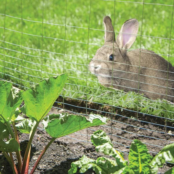 YARDGARD 40 in. x 50 ft. 16-Gauge Galvanized Steel Welded Wire Rabbit Fence