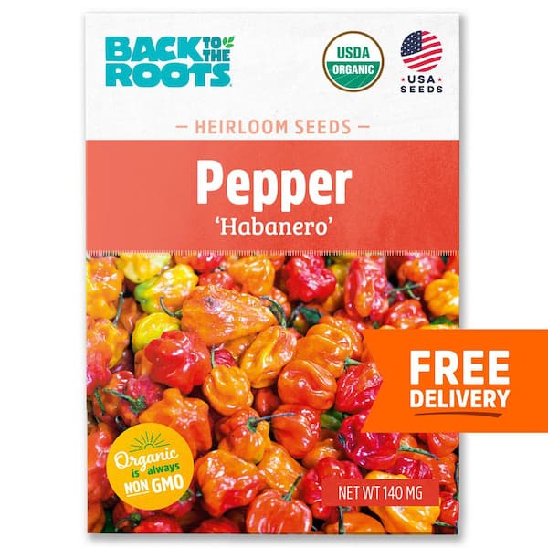 Back to the Roots Organic Hot Pepper 'Habanero' Heirloom Vegetable Seeds