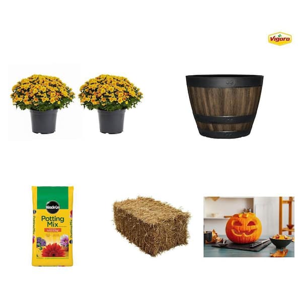 3 Qt. Orange Mum Plant (2-Pack), 12.8 in. Resin Planter, 50 Qt. Potting Mix, Straw Bale, and Carving Pumpkin