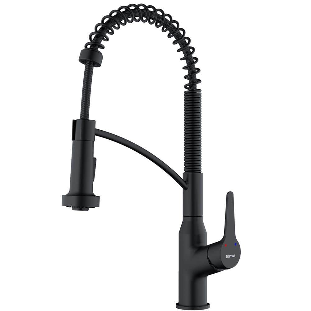 Matte Black Brass Pull-Down Sprayer Kitchen Faucet