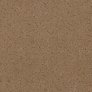Adalida - River Rock - Beige 40 oz. SD Polyester Pattern Installed Carpet