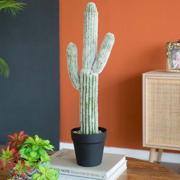24.5 in. Green Indoor Artificial Saguaro Cactus in Black Pot, Artificial  Succulent Plant for Home Office Floor Decor W2078P294239Q - The Home Depot