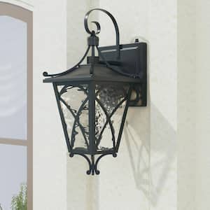 Hawaii 17.12 in. H 1-Light Black Classic Lantern Dusk to Dawn Hardwired Sconce with Water Glass
