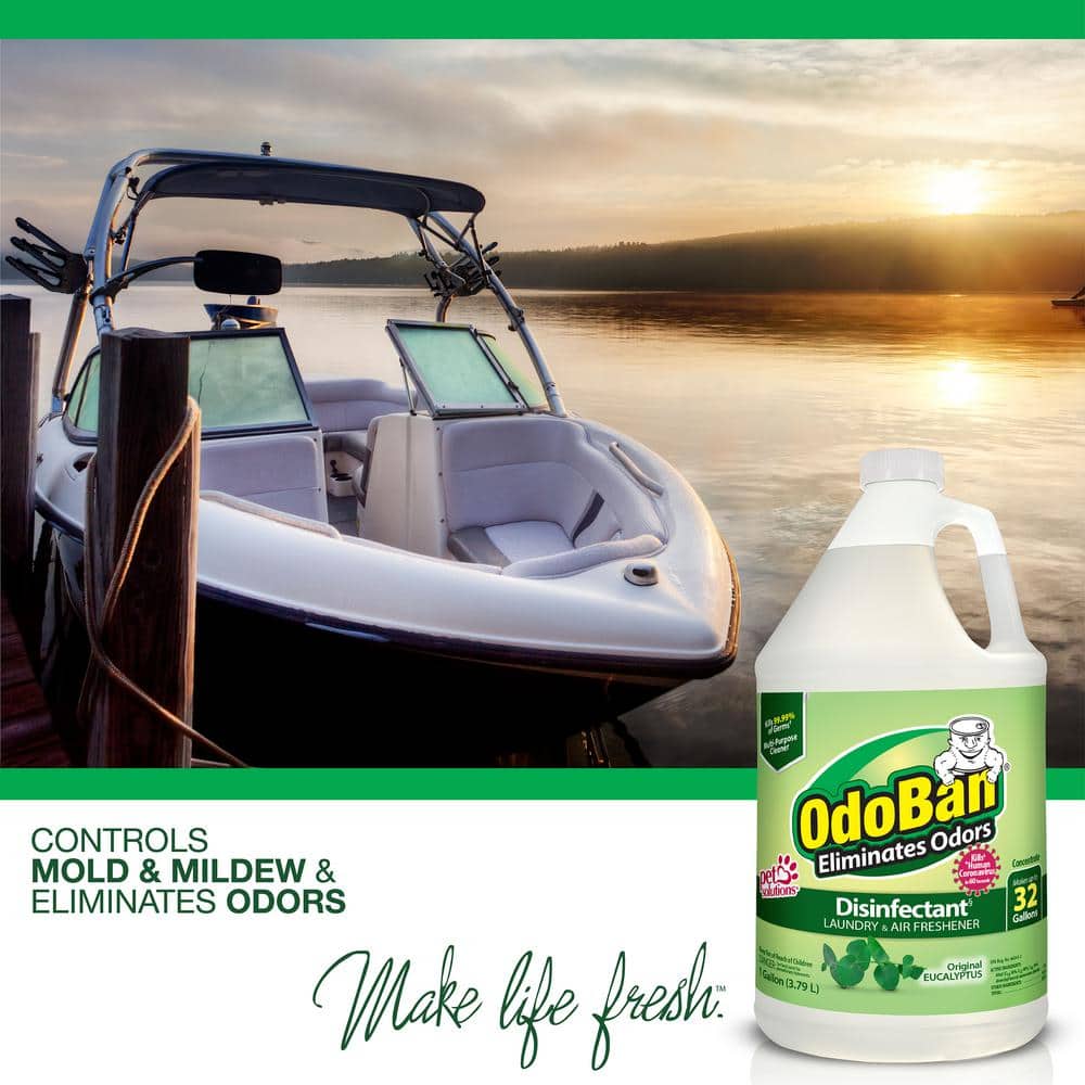 OdoBan Eucalyptus Scent Disinfectant and Odor Eliminator Concentrate
